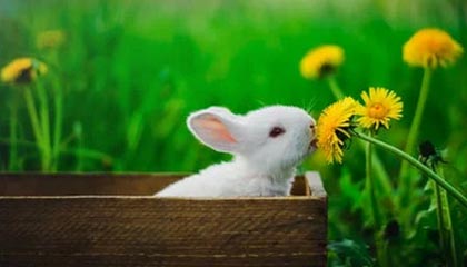 体育直播-世界大奖赛塞尔比力克梁文博 奥沙利文率先进八强